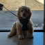 Buster