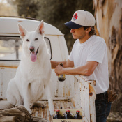 Sunny, a White German Shepherd Dog